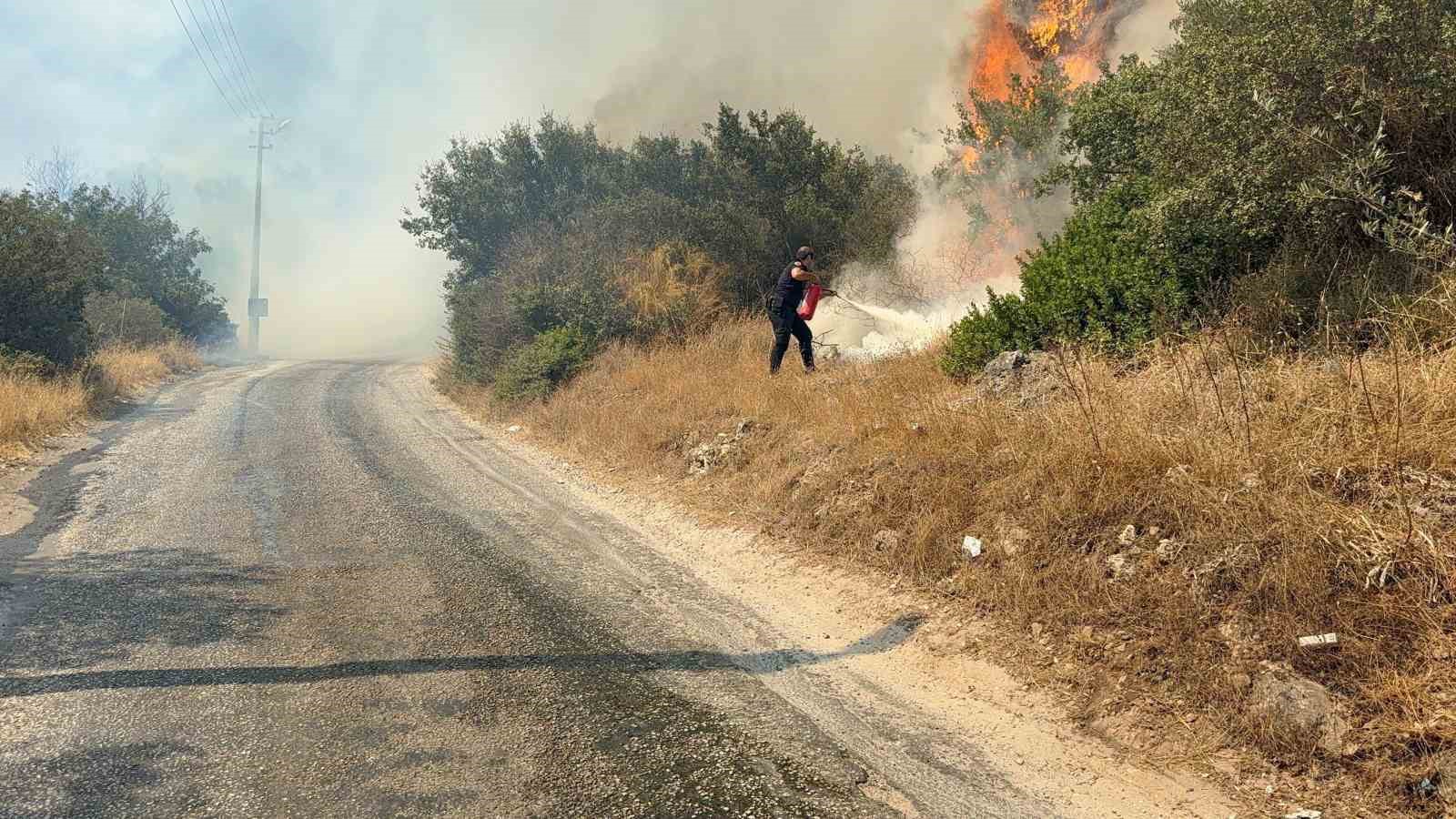 Bodrumda Maki̇li̇k Alanda Yangın Pani̇ği̇: “Havadan Ve Karadan Müdahale Sürüyor”
