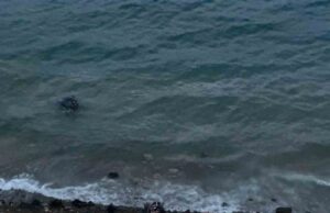 Datça’da virajı alamayan araç denize uçtu: 1 yaralı