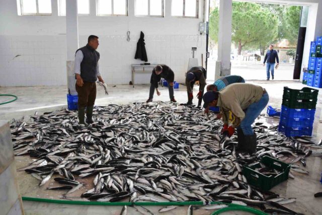 Muğla’dan 10 ayda 618 milyon dolar balık ihracatı