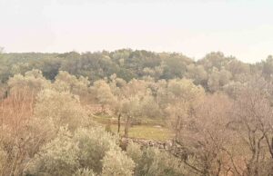 Tarlada aniden fenalaşan bir kişi hayatını kaybetti