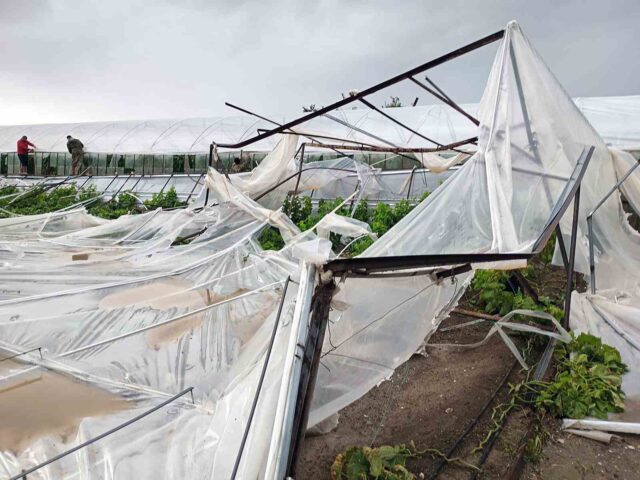 Seydikemer’de hortumun vurduğu seralarda hasar tespit çalışmaları başladı