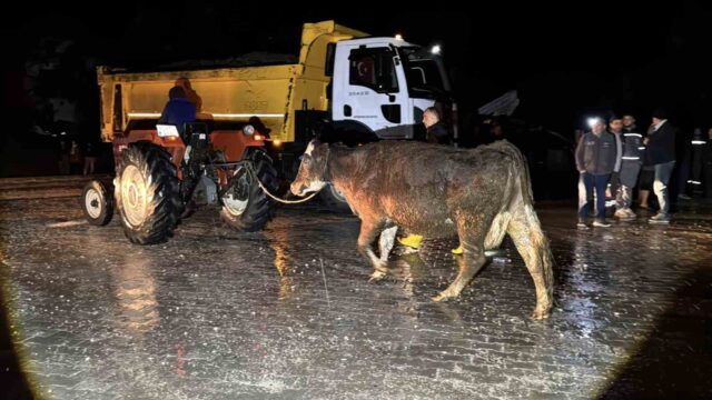 Seydikemer’de su baskını: Evler tahliye edildi