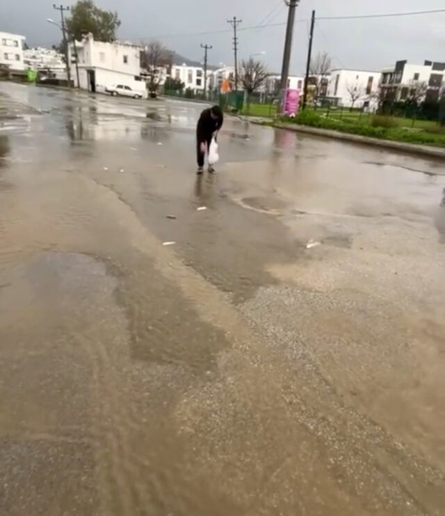 Bodrum’da sağanak baskını: Gölet taştı, asfalta balık yağdı