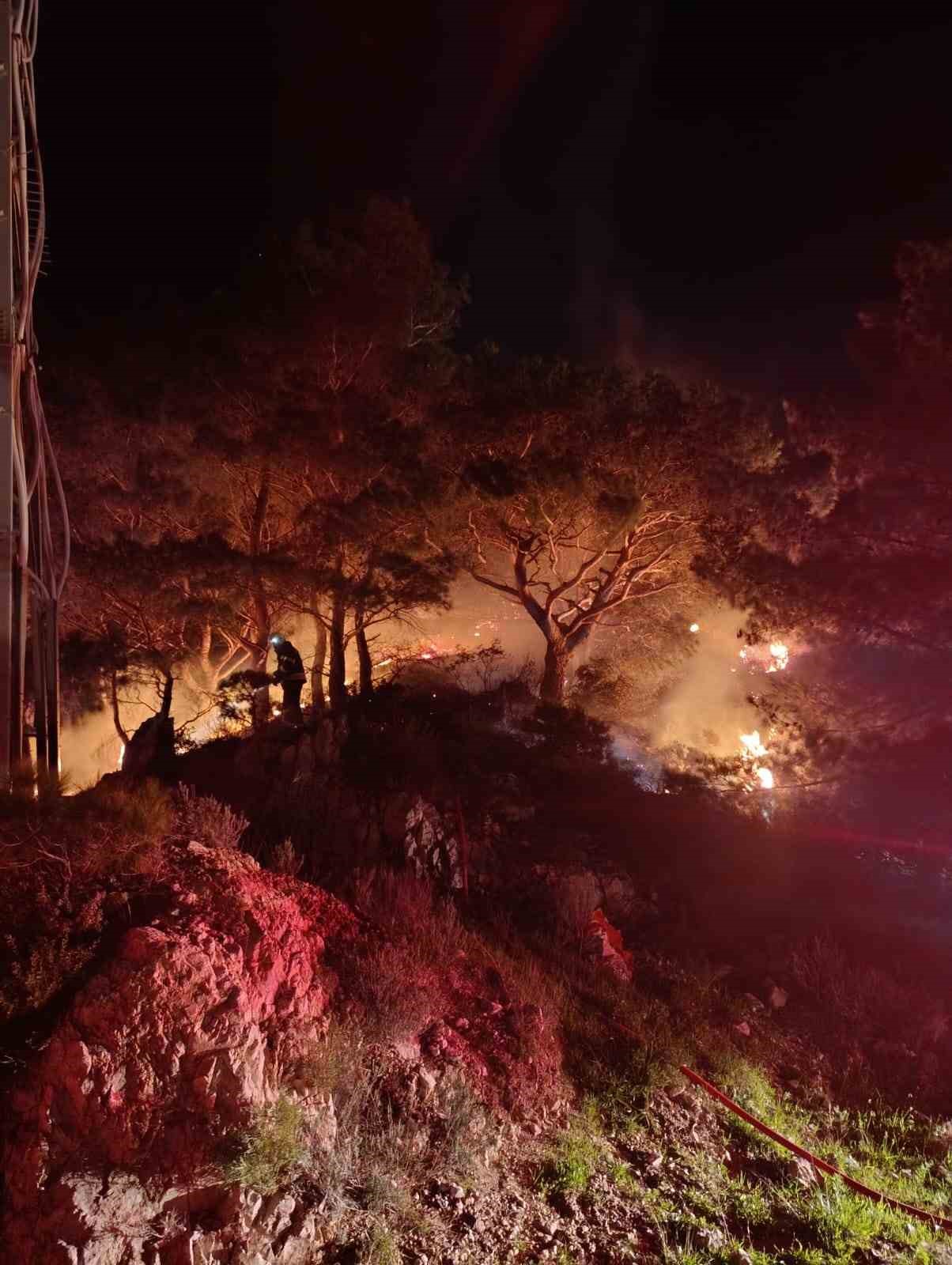 Bodrum’da ormanlık alanda yangın: 2 dönüm alan zarar gördü