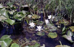 MSKÜ’lü bilim insanlarından kozmetik sektöründe uluslararası başarı