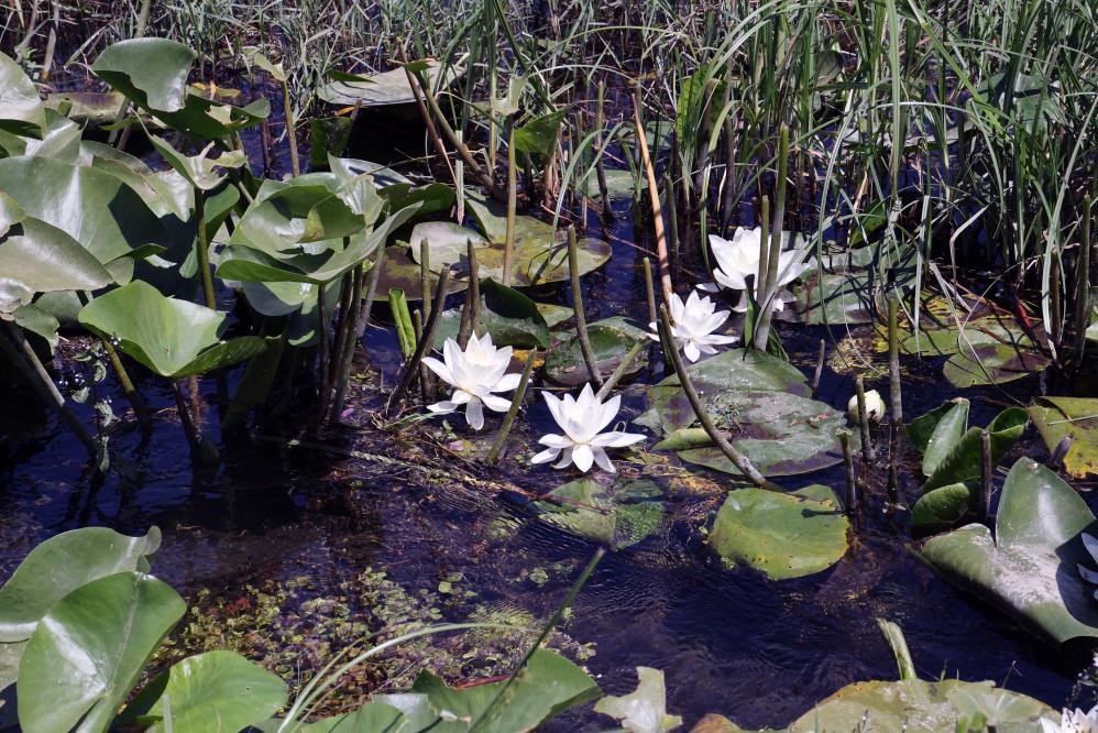MSKÜ’lü bilim insanlarından kozmetik sektöründe uluslararası başarı