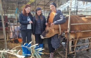 Muğla’daki projeyle üreticiler bilgilendiriliyor