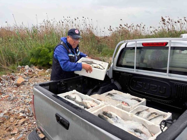 Milas’ta kaçak avcılığa geçit yok: 80 kilo kefal balığına el konuldu