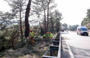 Muğla’da yangın sezonu öncesi Sakar Geçidi’nde riskli dallar temizleniyor