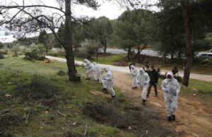 Terminatör böcekler iş başında