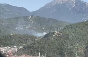 Ekiplerin hızlı müdahalesi ile orman yangını kontrol altına alındı