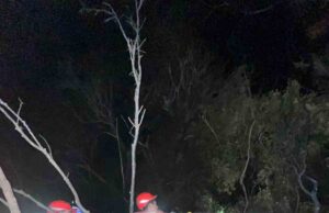 Ormanlık alandaki yangın büyümeden söndürüldü
