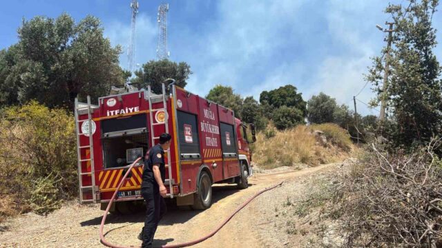 Bodrum’da çıkan yangın büyümeden söndürüldü