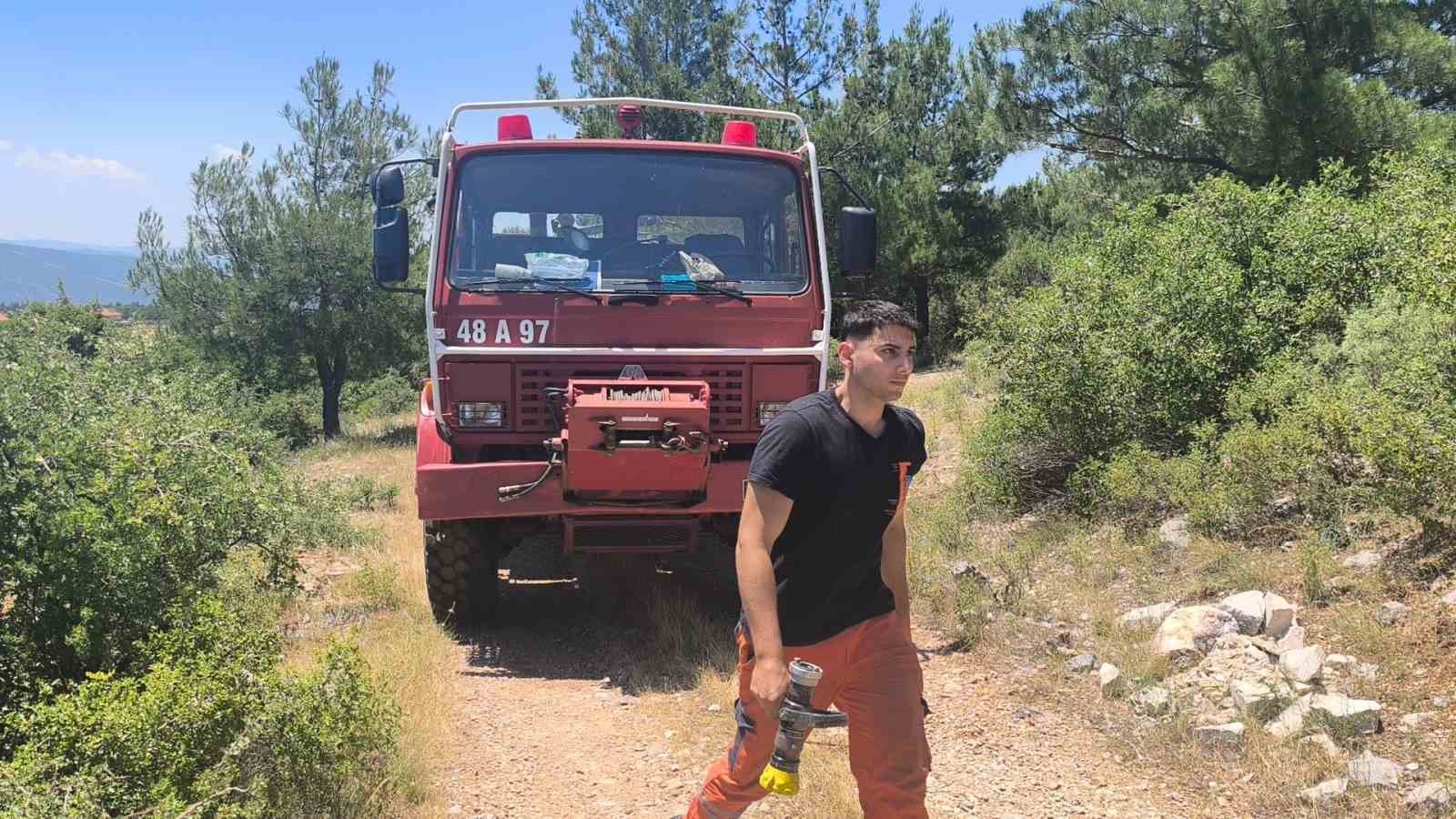 Muğla’da orman yangını ekiplerin hızlı müdahalesi ile söndürüldü