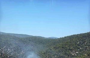 Milas Kazıklı Koyu’nda makilik alanda yangın çıktı