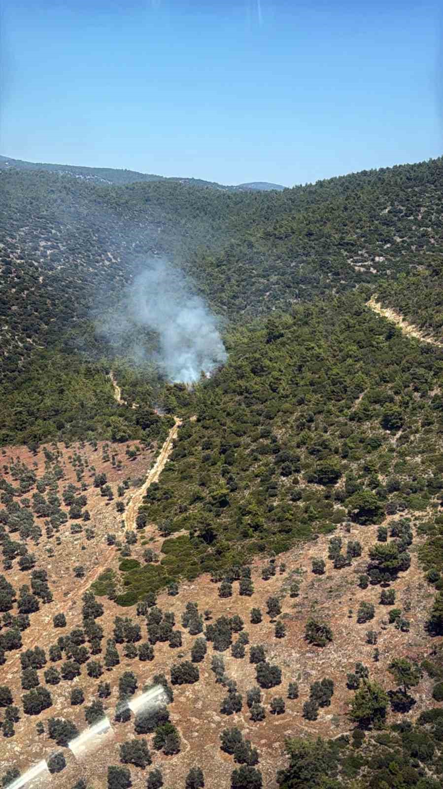 Milas Kazıklı Koyu’nda makilik alanda yangın çıktı