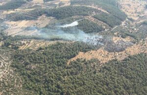 Milas’ta çıkan zirai yangın kısa sürede kontrol altına alındı