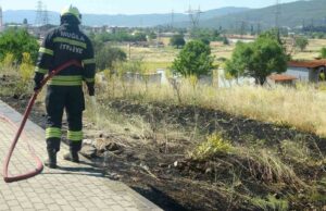 Menteşe’de yol kenarına atılan sigara izmariti yangın çıkardı