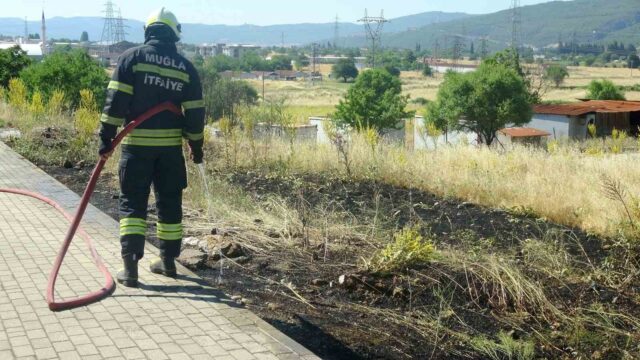 Menteşe’de yol kenarına atılan sigara izmariti yangın çıkardı