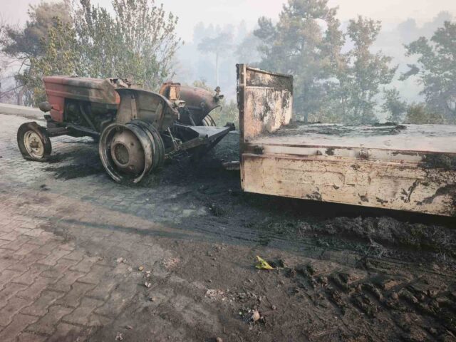 Seydikemer’deki orman yangınında 24 saati aşkın süren mücadelenin ardından acı tablo ortaya çıktı