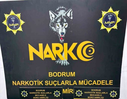 Bodrum’da uyuşturucu operasyonu: 2 gözaltı