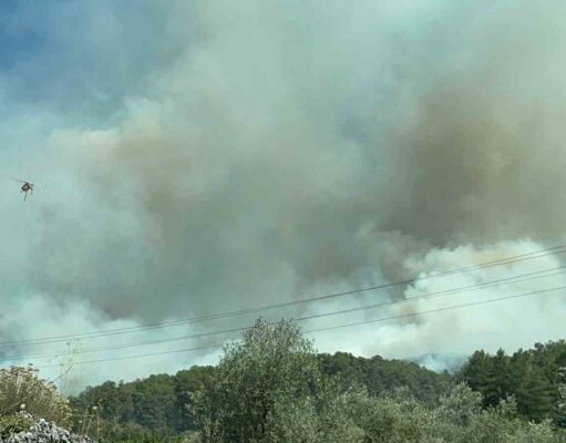 Fethiye’de orman yangınını söndürmek için ekipler seferber oldu