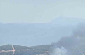 Muğla Menteşe’de orman yangını