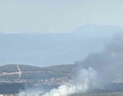 Muğla Menteşe’de orman yangını