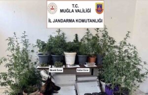 Jandarma ekiplerinin uyuşturucu ve sahte alkol denetimleri sürüyor