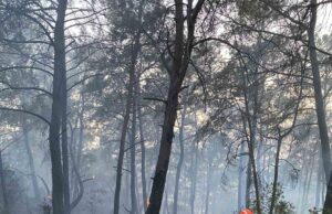 Datça MAG AME ekipleri Göcek’teki orman yangınına destek verdi