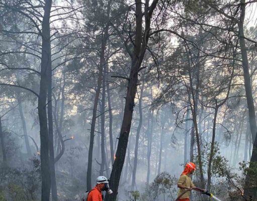 Datça MAG AME ekipleri Göcek’teki orman yangınına destek verdi