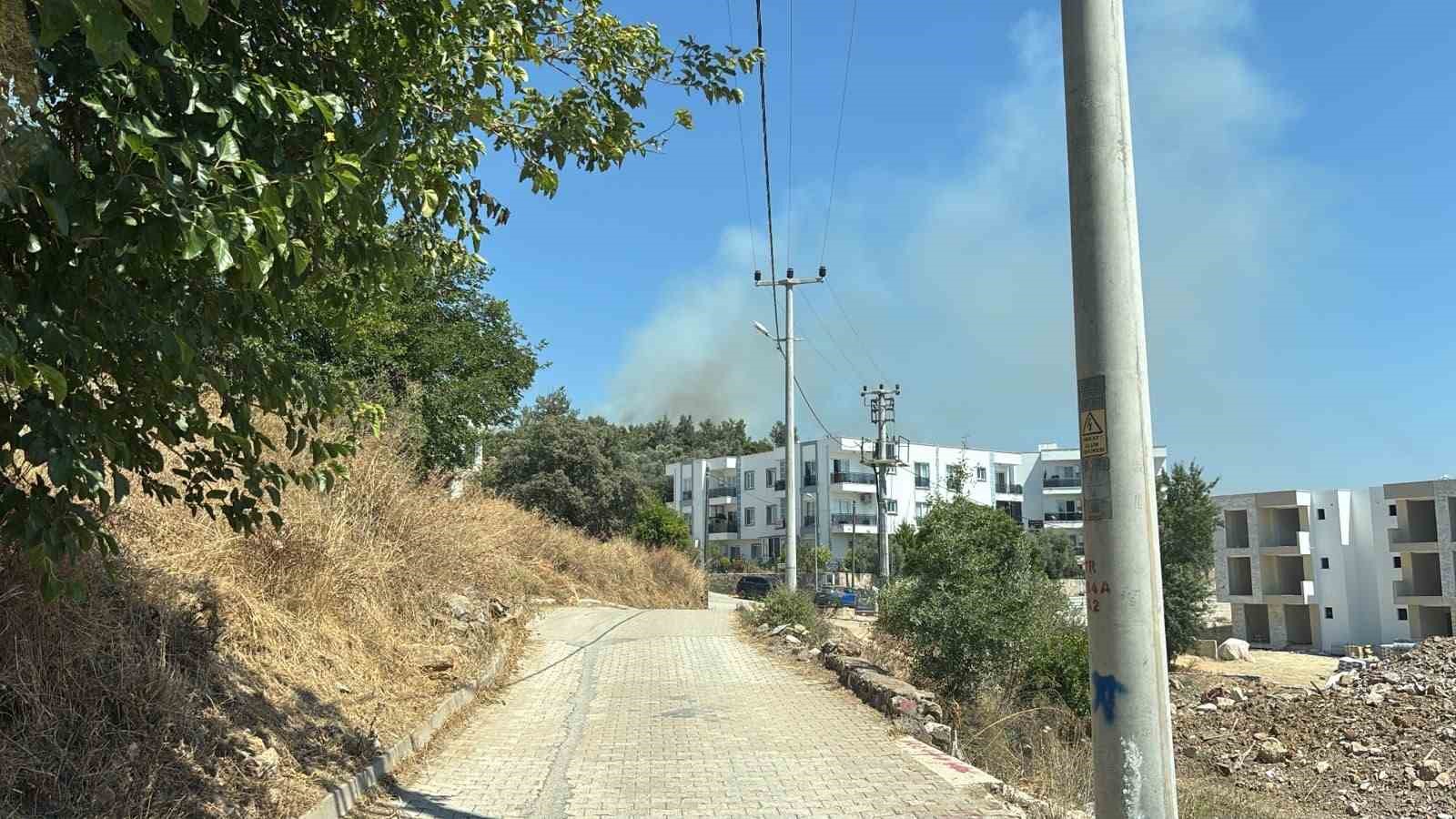 Yerleşim yerlerine yakın makilik alandaki yangın korkuttu