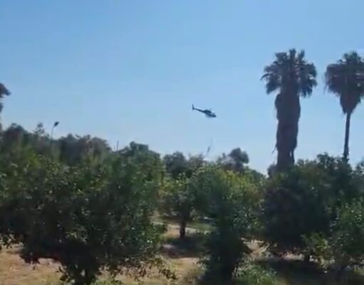 Marmaris’te zirai alan yangını kontrol altında