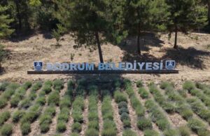 2026 Yılı Gençlik Tarım Kamplarının ilki başladı