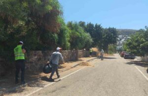 Bodrum’da ot temizliği çalışmaları Haziran ayı boyunca aralıksız sürdü