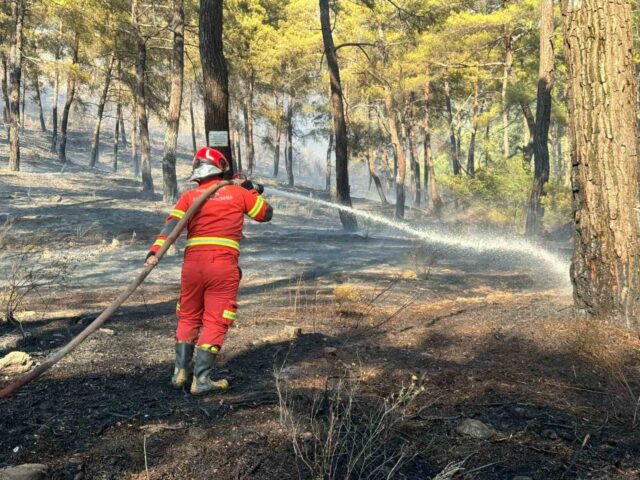 Ortaca’da orman yangını