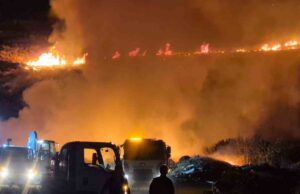 Bodrum’da makilik alanda yangın