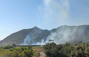 Dalaman’da tarım alanındaki yangın kısa sürede söndürüldü