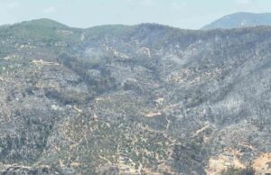 Yeşilden siyaha bürünen alan helikopterden görüntülendi