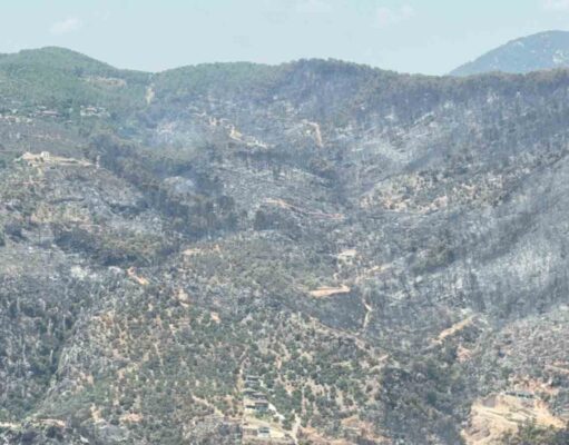 Yeşilden siyaha bürünen alan helikopterden görüntülendi