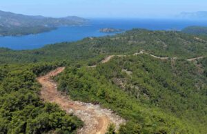 Muğla ve Aydın’da Orman yangın şerit yolu uzunluğu 2 bin kilometreye çıkıyor
