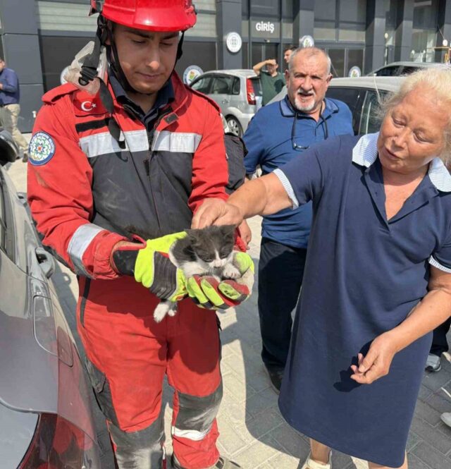 Otomobilin motor bölümüne sıkışan kedi kurtarıldı