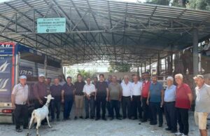 Seydikemer’de yangında hayvanlarını kaybeden çiftçilere küçükbaş hayvan desteği