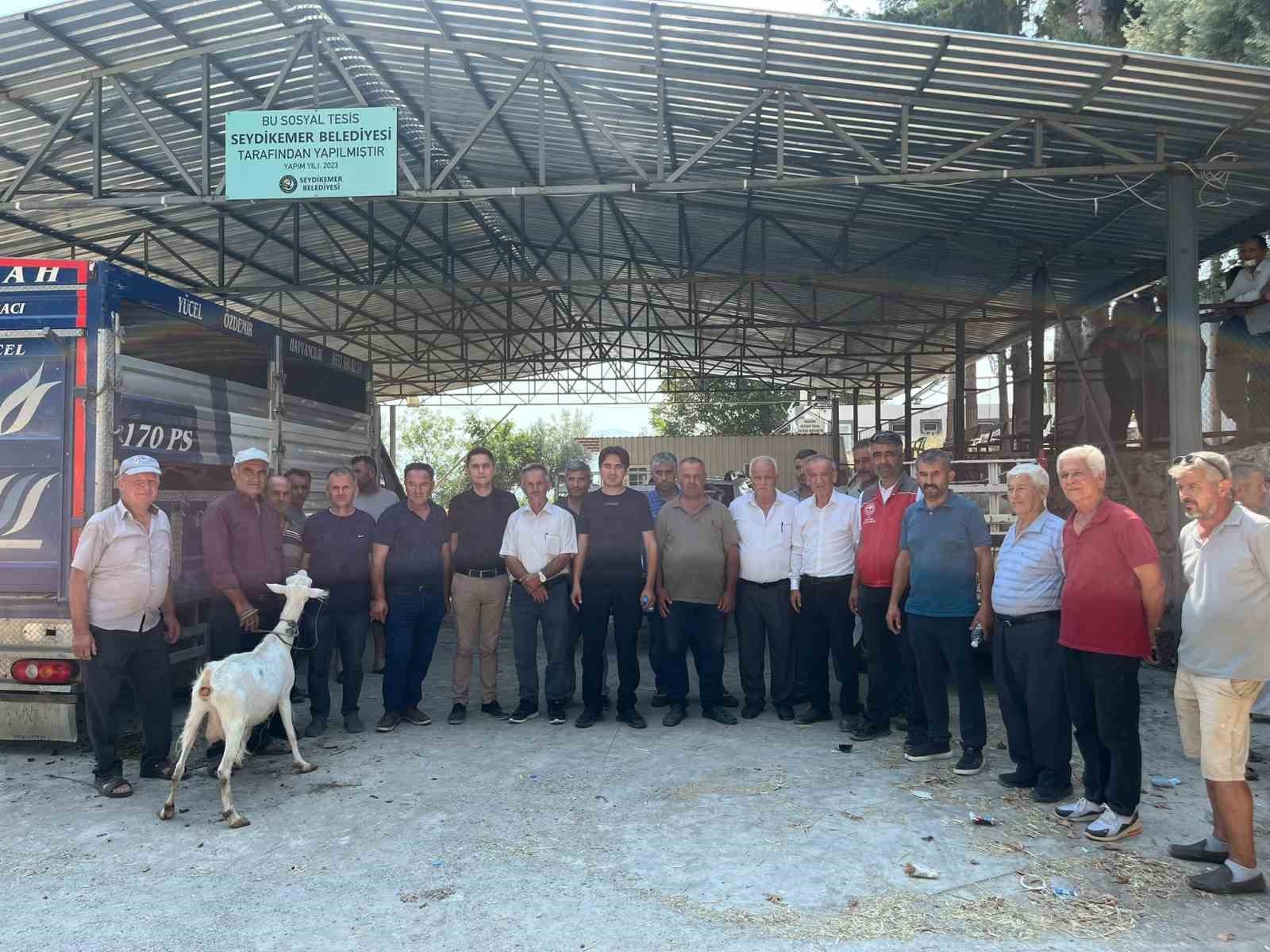 Seydikemer’de yangında hayvanlarını kaybeden çiftçilere küçükbaş hayvan desteği