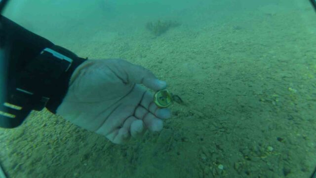 Bodrum’da deniz dibinden çıkanlar şaşırttı: Torba sahilinden 75 kilo atık çıkarıldı