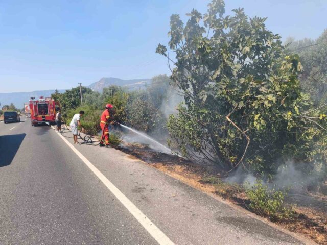 Ula’da yol kenarında başlayan alevler korkuttu