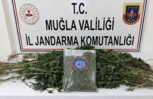 Muğla Jandarmasından uyuşturucu tacirlerine operasyon: 33 tutuklama