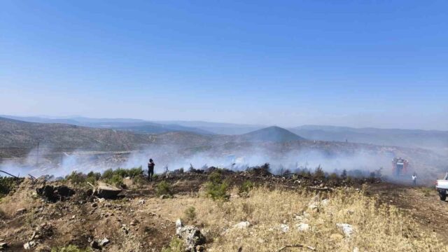 Menteşe’de makilik yangını