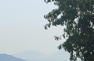 Dalaman’da orman yangını ekiplerin hızlı müdahalesi ile kontrol altına alındı