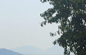 Dalaman’da orman yangını ekiplerin hızlı müdahalesi ile kontrol altına alındı